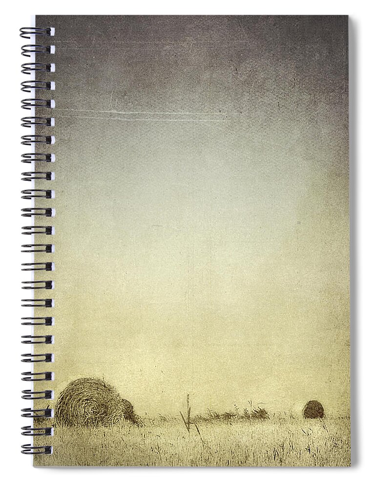 Drought Spiral Notebook featuring the photograph Let the Rain Come Down by Trish Mistric