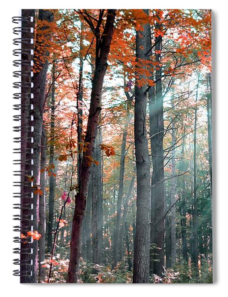 Sun Spiral Notebook featuring the photograph Let There Be Light by Terri Gostola