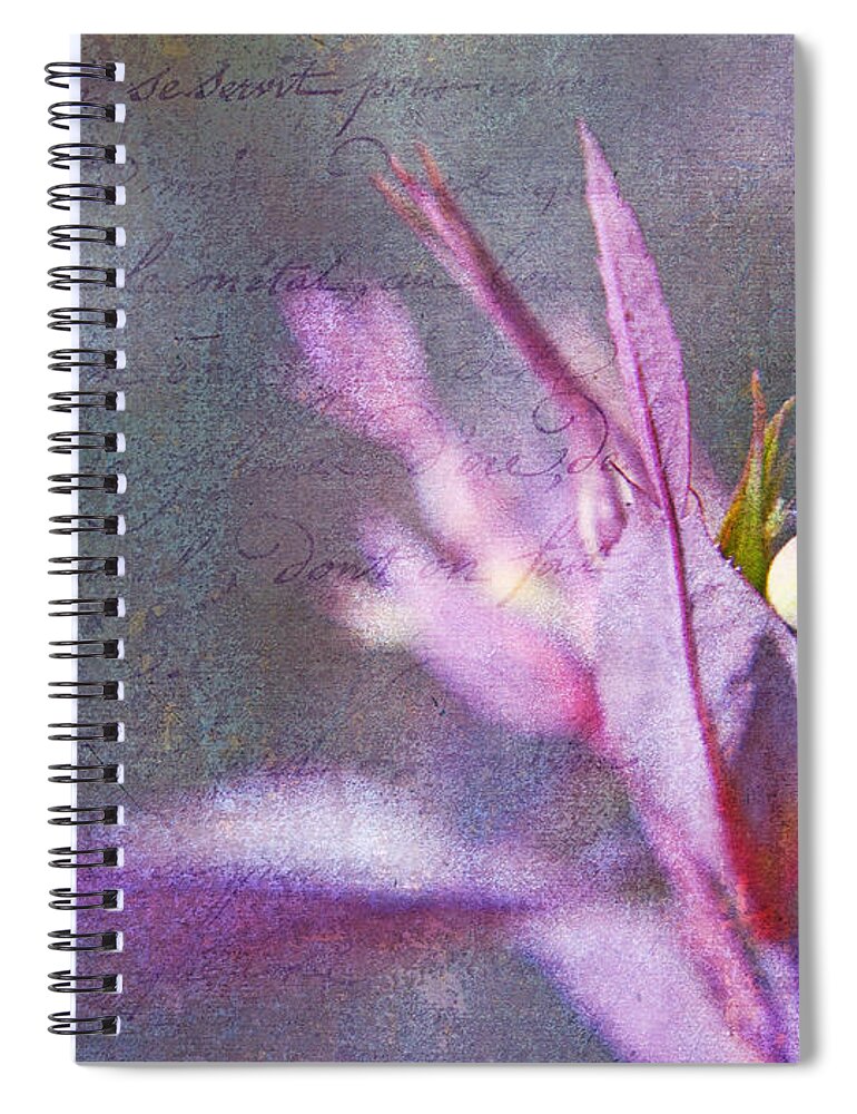 Shabby Chic Spiral Notebook featuring the photograph Lettres D'amour by Theresa Tahara