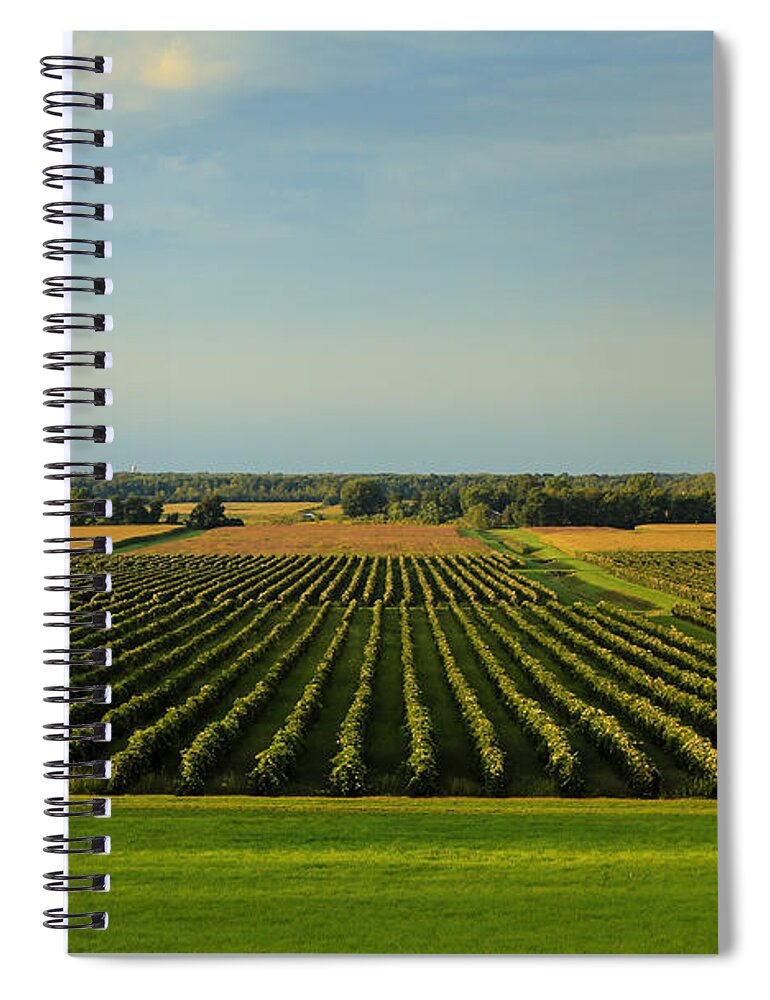 Lewiston Summer Vineyards Spiral Notebook featuring the photograph Lewiston Summer Vineyards by Rachel Cohen