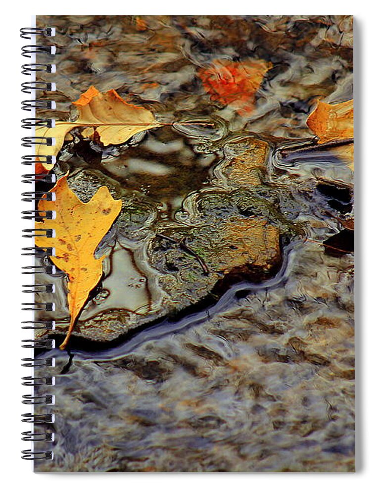 Autumn Spiral Notebook featuring the photograph Life Flows by Viviana Nadowski