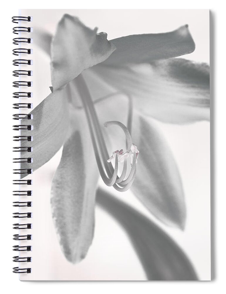 Flower Spiral Notebook featuring the photograph Life in Miniature by Paul Watkins