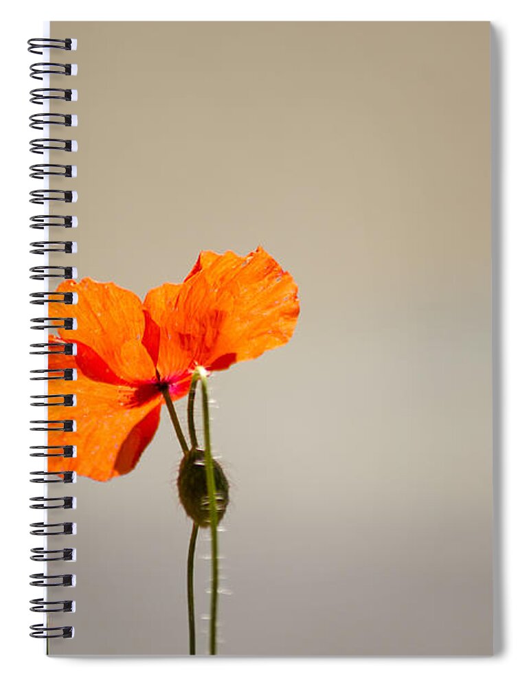 Poppy Spiral Notebook featuring the photograph Life by Spikey Mouse Photography