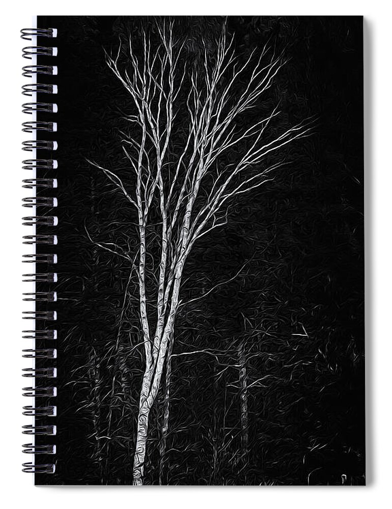 2013 Spiral Notebook featuring the photograph Life's A Birch No.2 by Mark Myhaver