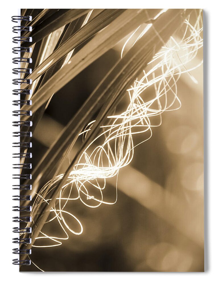 Florida Nature Spiral Notebook featuring the photograph Light In The Moss by Carolyn Marshall