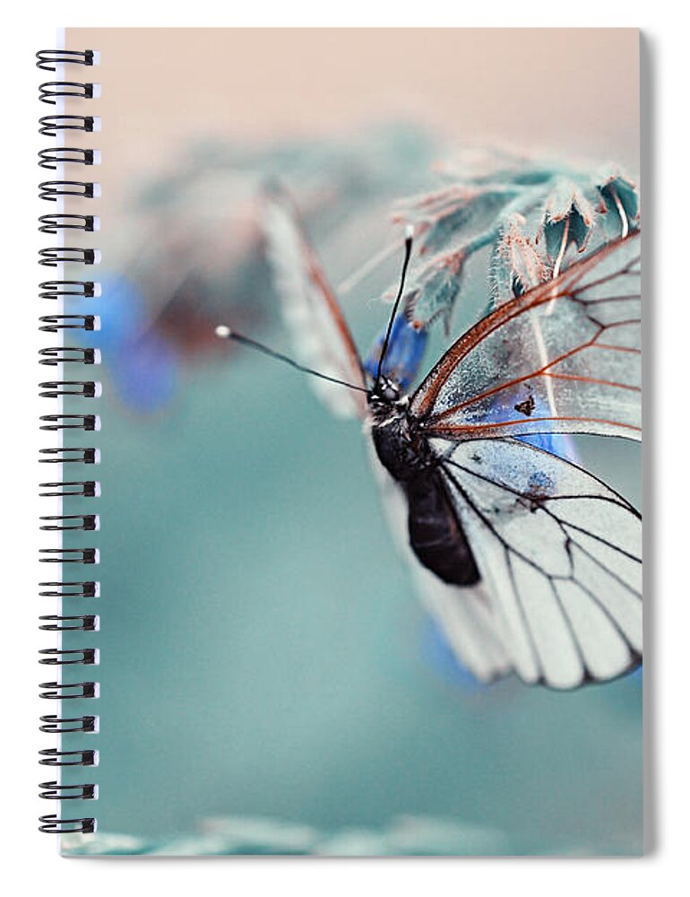 Nature Spiral Notebook featuring the photograph Light Life. Nature in Alien Skin by Jenny Rainbow