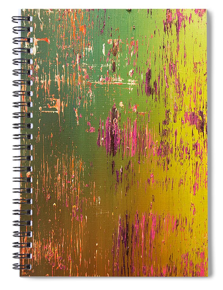 Derek Kaplan Art Spiral Notebook featuring the painting Light My Fire by Derek Kaplan