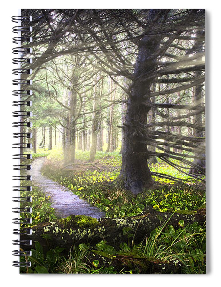 Fall Spiral Notebook featuring the photograph Light on the Trail by Debra and Dave Vanderlaan