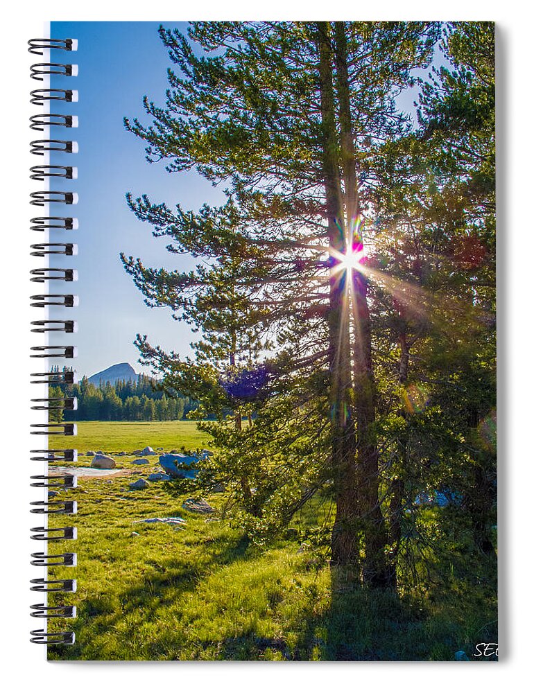 Yosemite National Park Spiral Notebook featuring the photograph Light Through the Trees by Susan Eileen Evans