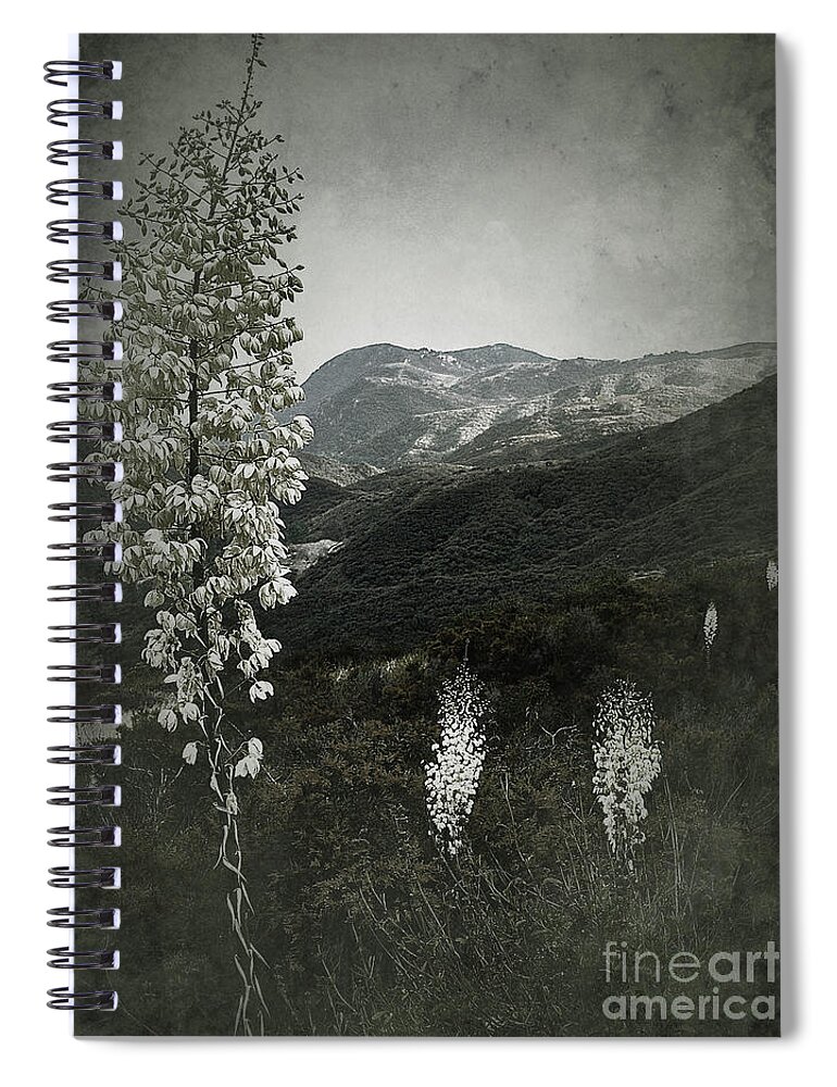Wildflowers Spiral Notebook featuring the photograph Lighting the Way by Parrish Todd