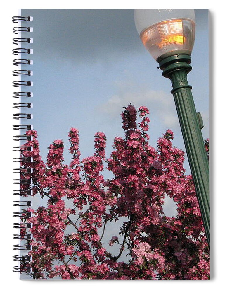 Light Spiral Notebook featuring the photograph Lighting Up The Day by Michael Krek