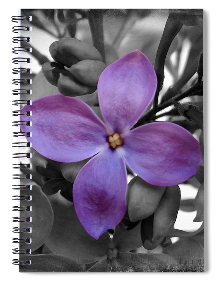 Lilac Spiral Notebook featuring the photograph Lilac by Dark Whimsy