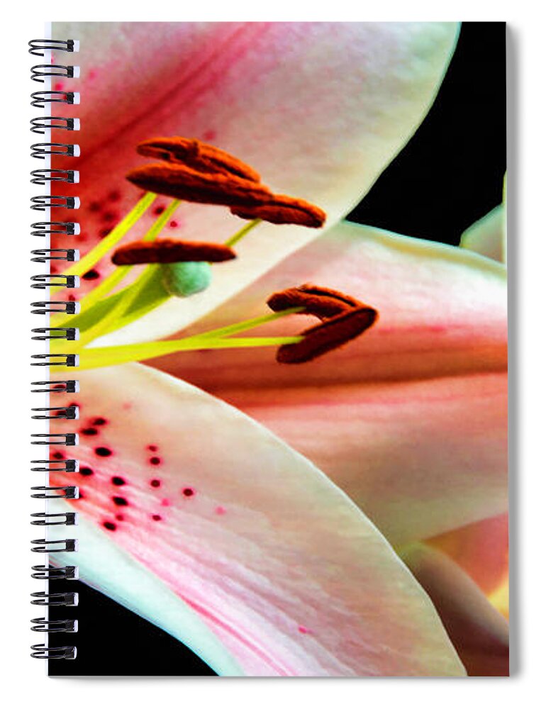 Botanical Gardens Spiral Notebook featuring the photograph Lilies by Pat Cook