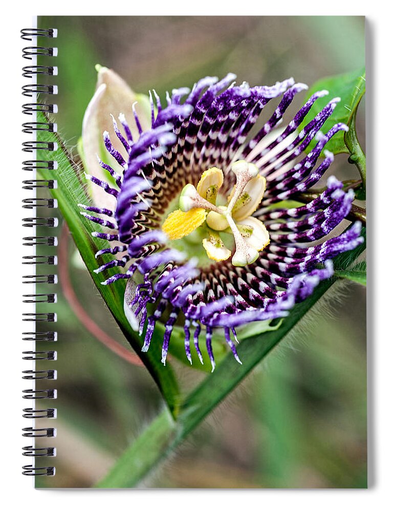 Hawaii Spiral Notebook featuring the photograph Lilikoi Flower by Dan McManus