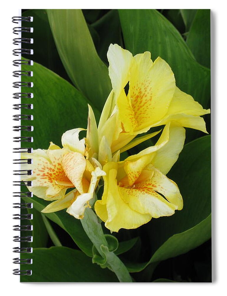 Floral Spiral Notebook featuring the photograph Lilly of Shreveport by Ron Monsour