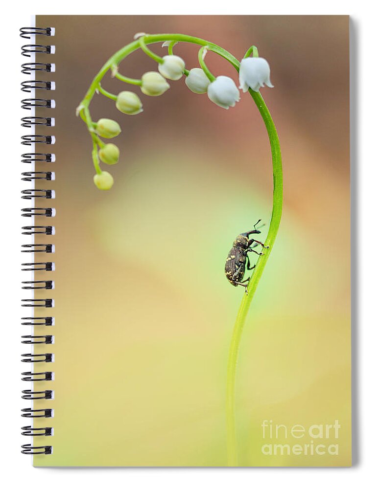 Flower Spiral Notebook featuring the photograph Lilly of the valley by Jaroslaw Blaminsky