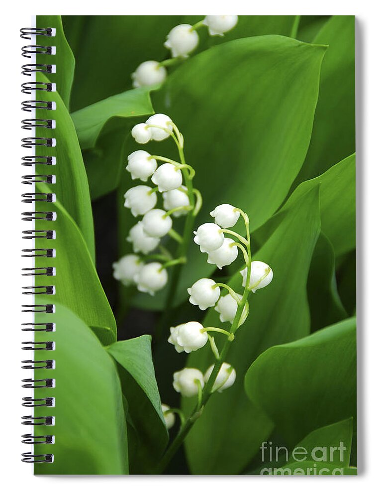 Lily Spiral Notebook featuring the photograph Lily-of-the-valley by Elena Elisseeva