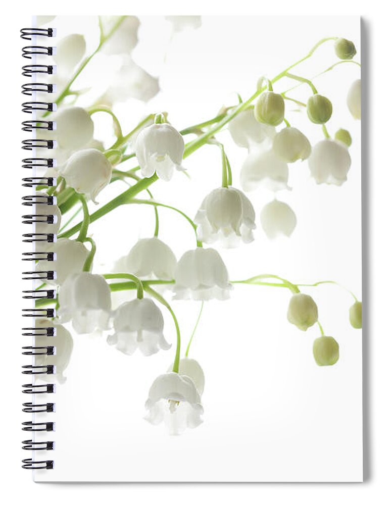 White Background Spiral Notebook featuring the photograph Lily Of The Valley In A Vase, Highkey by Ingmar Wesemann