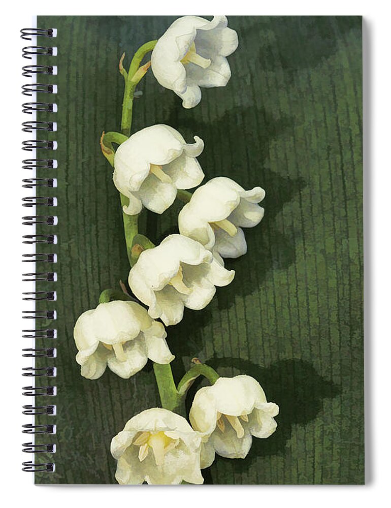 Flower Spiral Notebook featuring the photograph Lily of the Valley by Paul DeRocker