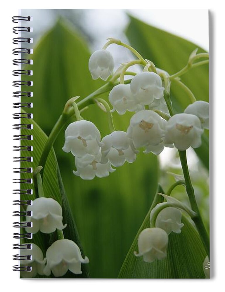 Flowers Spiral Notebook featuring the photograph Lily of the Valley by Steven Clipperton