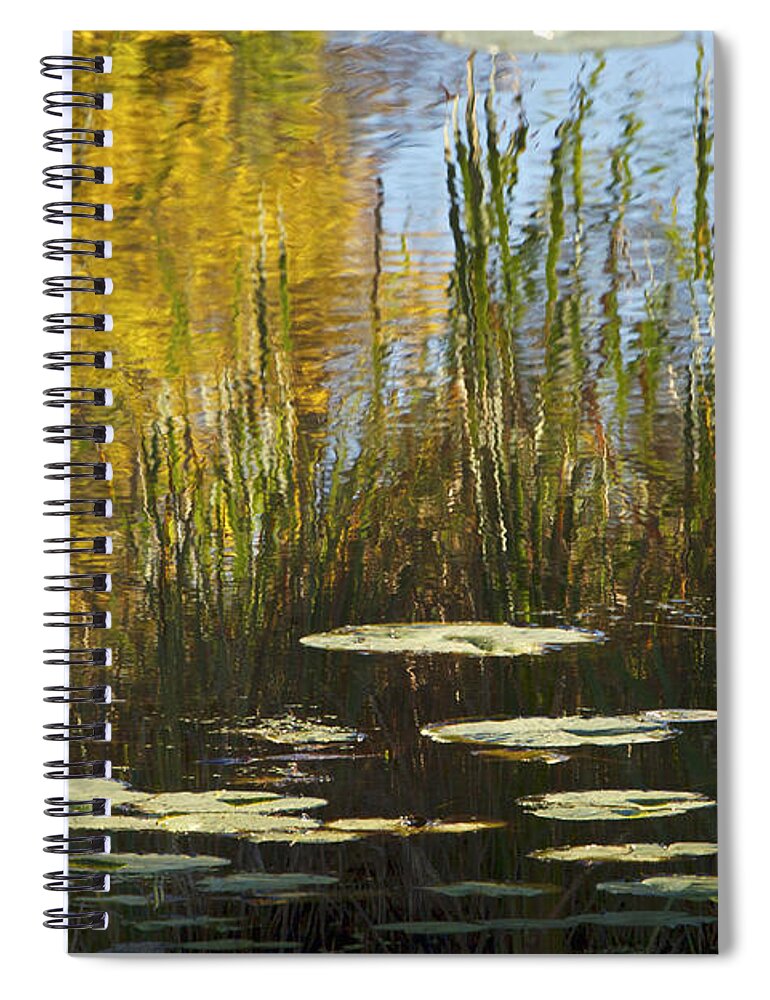 Lily Pads Spiral Notebook featuring the photograph Lily Pads in Autumn by Penny Meyers