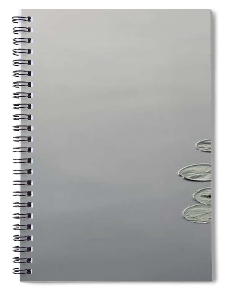 Lily Pads Spiral Notebook featuring the photograph Lily Pads by Lilliana Mendez