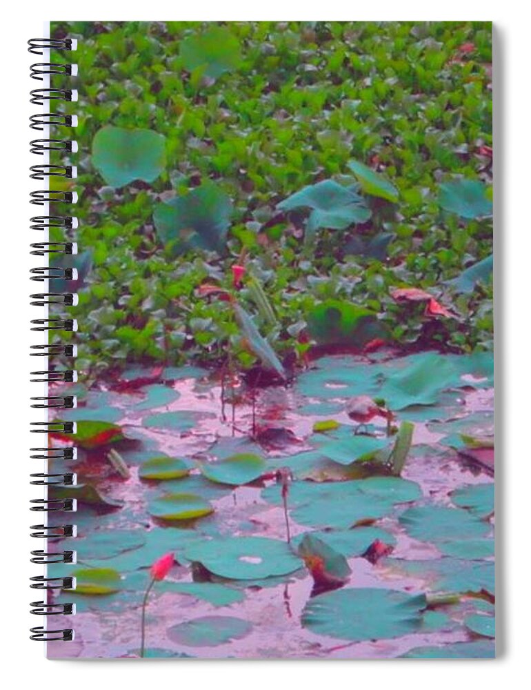Lily Pond Spiral Notebook featuring the photograph Lily Pond 2 by Usha Shantharam