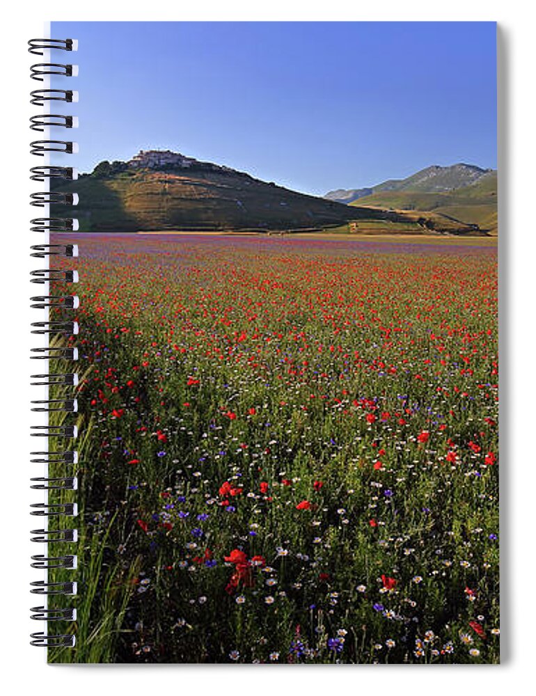 Scenics Spiral Notebook featuring the photograph Line by Manuelo Bececco Global Nature Photographer