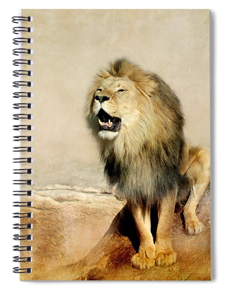 Lion Spiral Notebook featuring the photograph Lion by Heike Hultsch