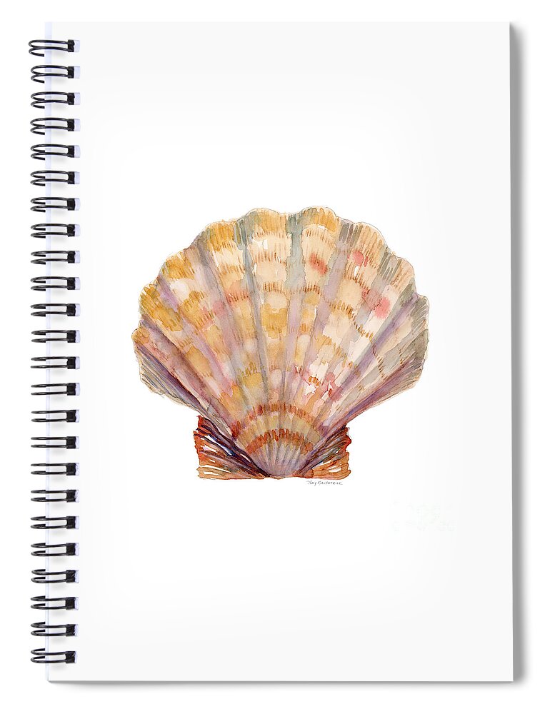 Shell Spiral Notebook featuring the painting Lion's Paw Shell by Amy Kirkpatrick