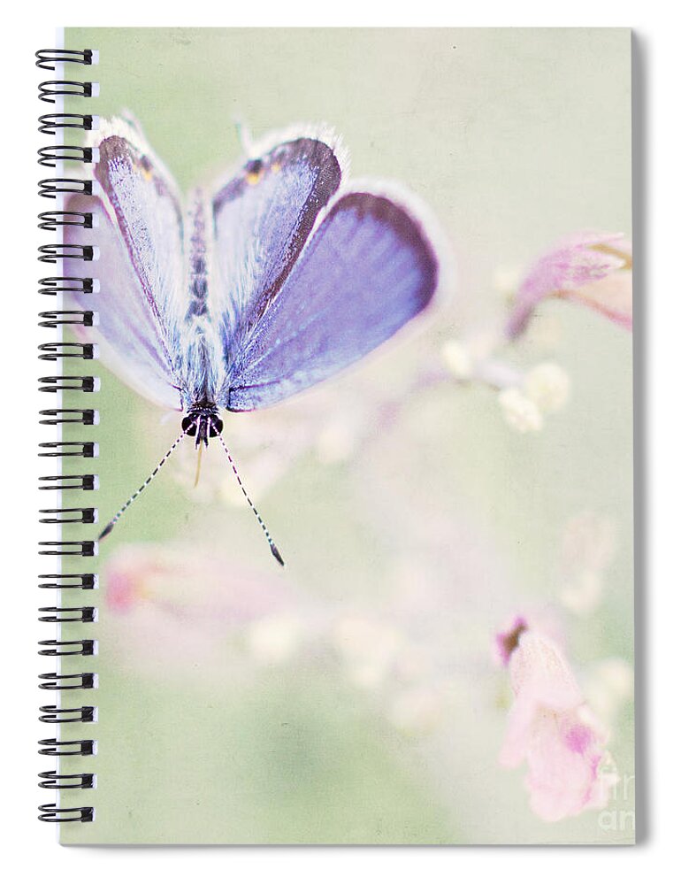Butterfly Spiral Notebook featuring the photograph Little Blue by Pam Holdsworth