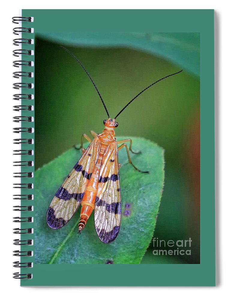Bugs Spiral Notebook featuring the photograph Living On The Edge by Geoff Crego