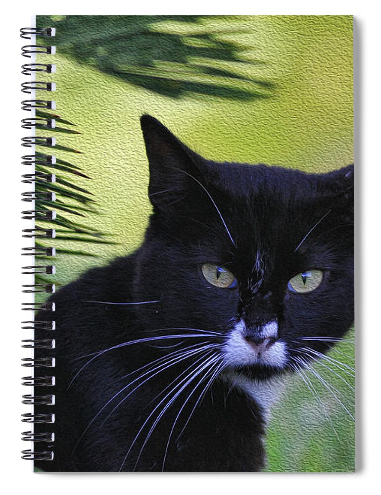 Cat Spiral Notebook featuring the photograph Living the Wild Life by Deborah Benoit