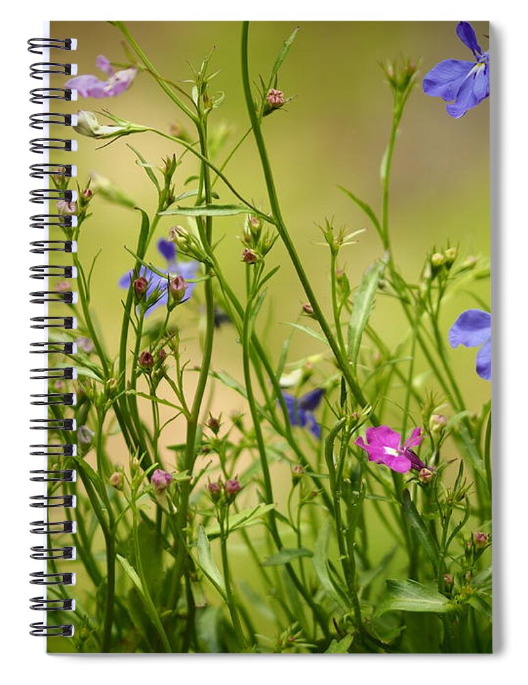 Flowers Spiral Notebook featuring the photograph Lobelia Flowers by Dorothy Lee
