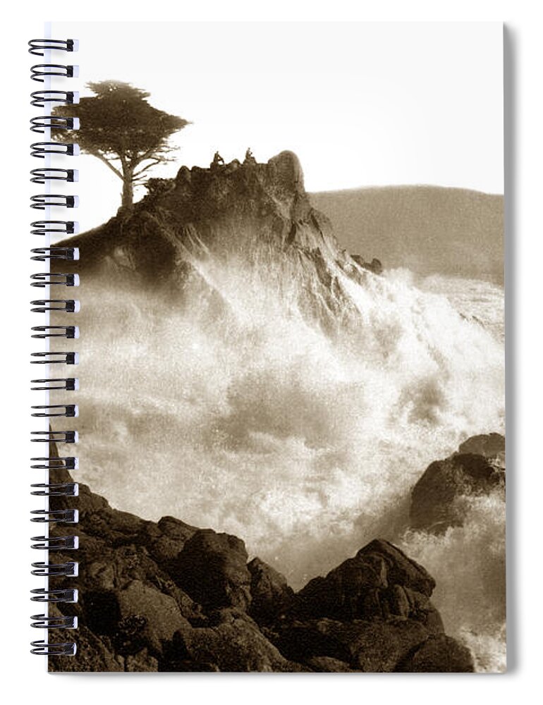 Lone Cypress Spiral Notebook featuring the photograph Lone Cypress tree on Midway Point Pebble Beach California circa 1916 by Monterey County Historical Society
