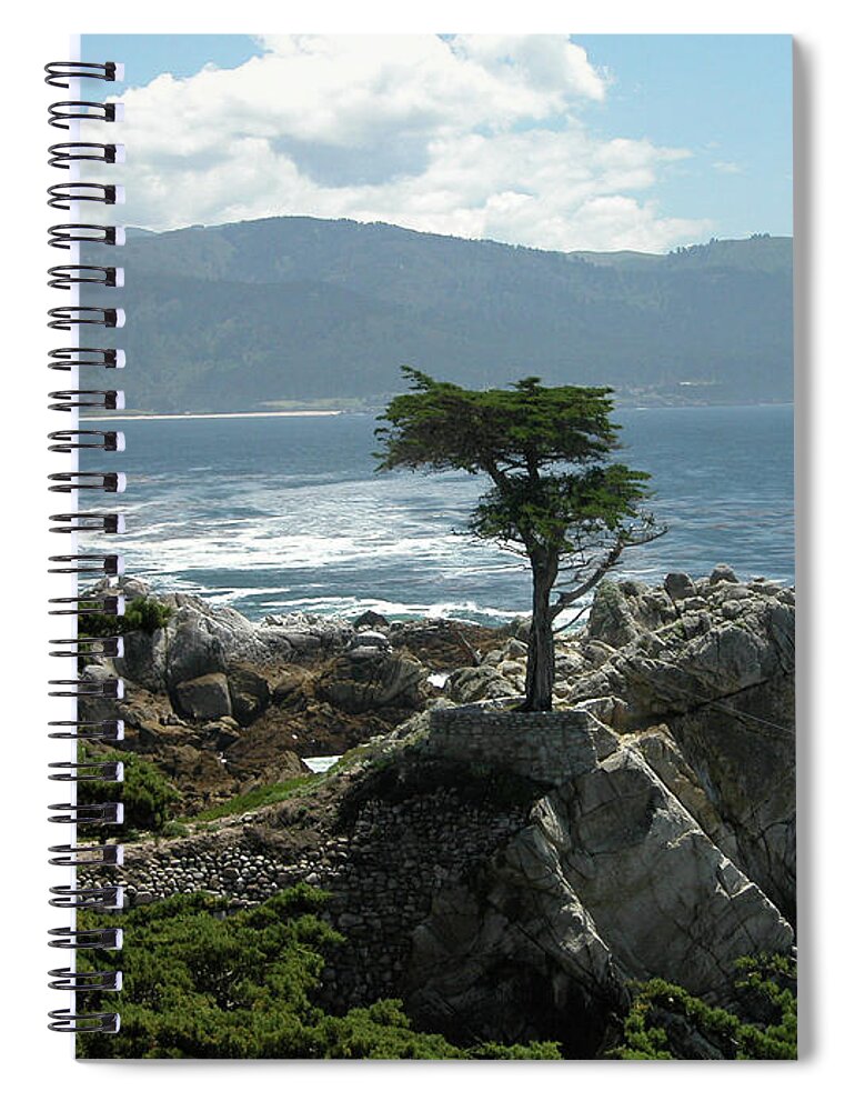 Guy Whiteley Spiral Notebook featuring the photograph Lone Cyprus 1045 by Guy Whiteley
