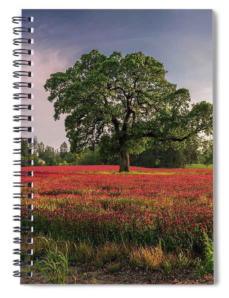 Scenics Spiral Notebook featuring the photograph Lone Oak In Clover Field by Jason Harris