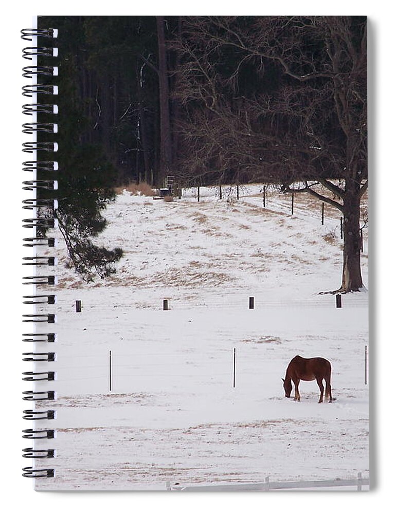 Lonely Horse Spiral Notebook featuring the photograph Lonely Horse by Kevin Croitz
