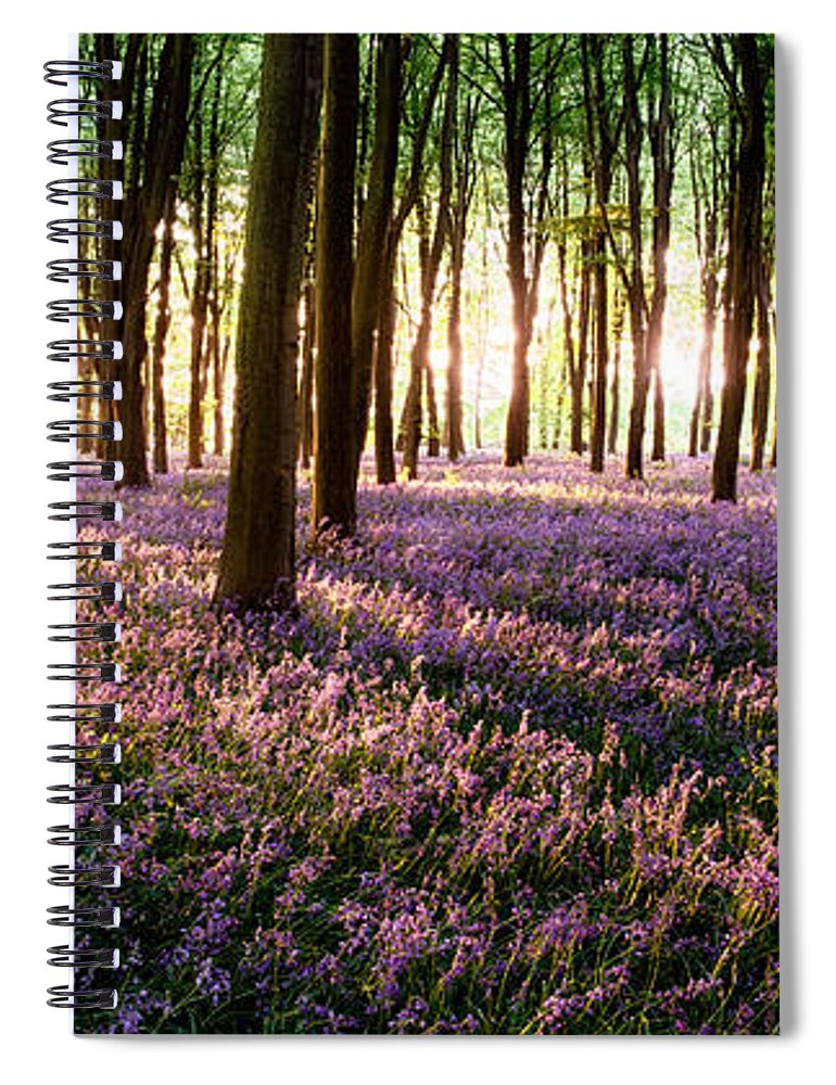 Flower Spiral Notebook featuring the photograph Long shadows in bluebell woods by Simon Bratt