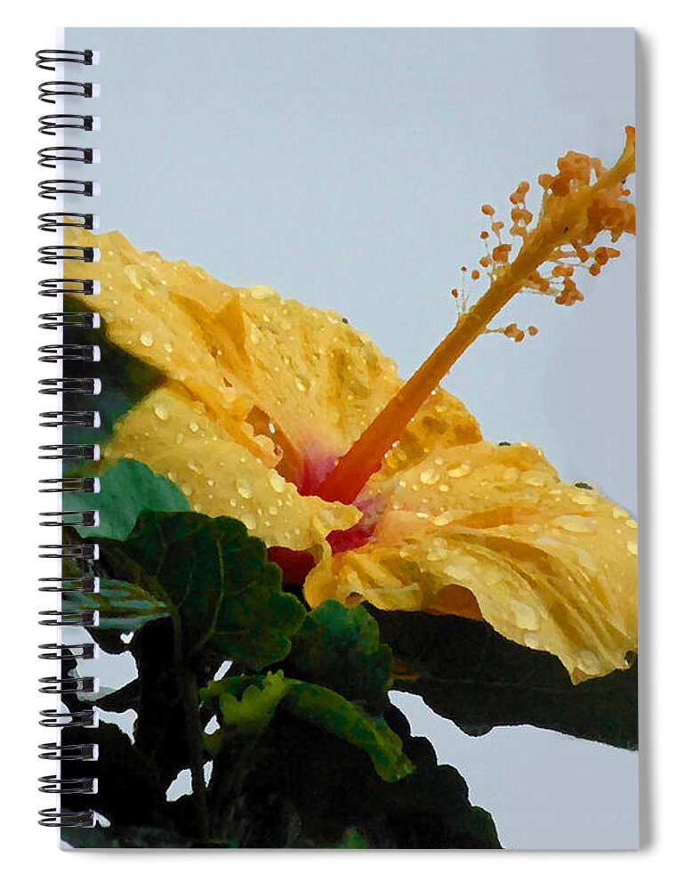 Photography Spiral Notebook featuring the photograph Look at me just for a while by Marcello Cicchini