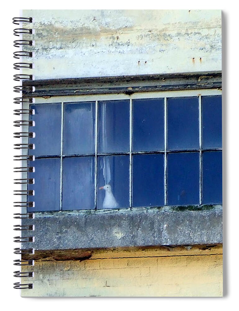 Alcatraz Spiral Notebook featuring the photograph Look Out at The Rock by Richard Reeve