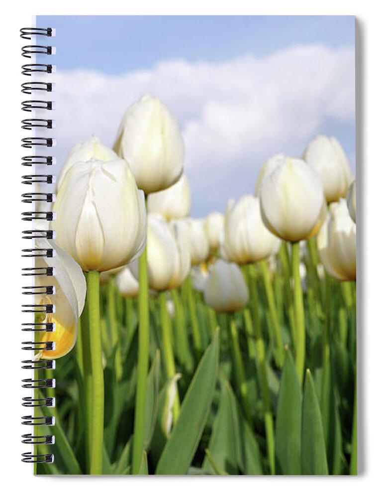Netherlands Spiral Notebook featuring the photograph Looking In by Leuntje