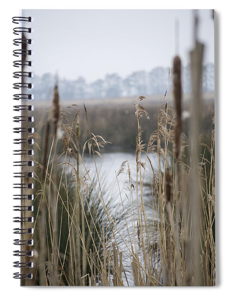 Reeds Spiral Notebook featuring the photograph Looking through the Reeds by Spikey Mouse Photography