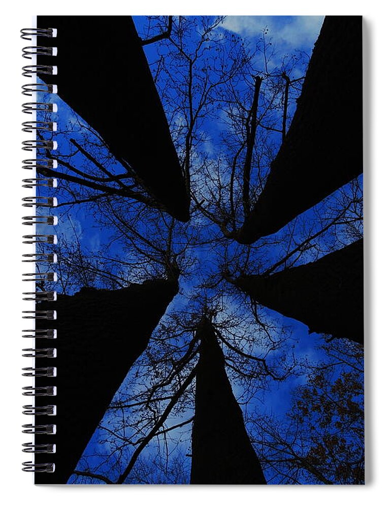 Trees Spiral Notebook featuring the photograph Looking Up by Raymond Salani III
