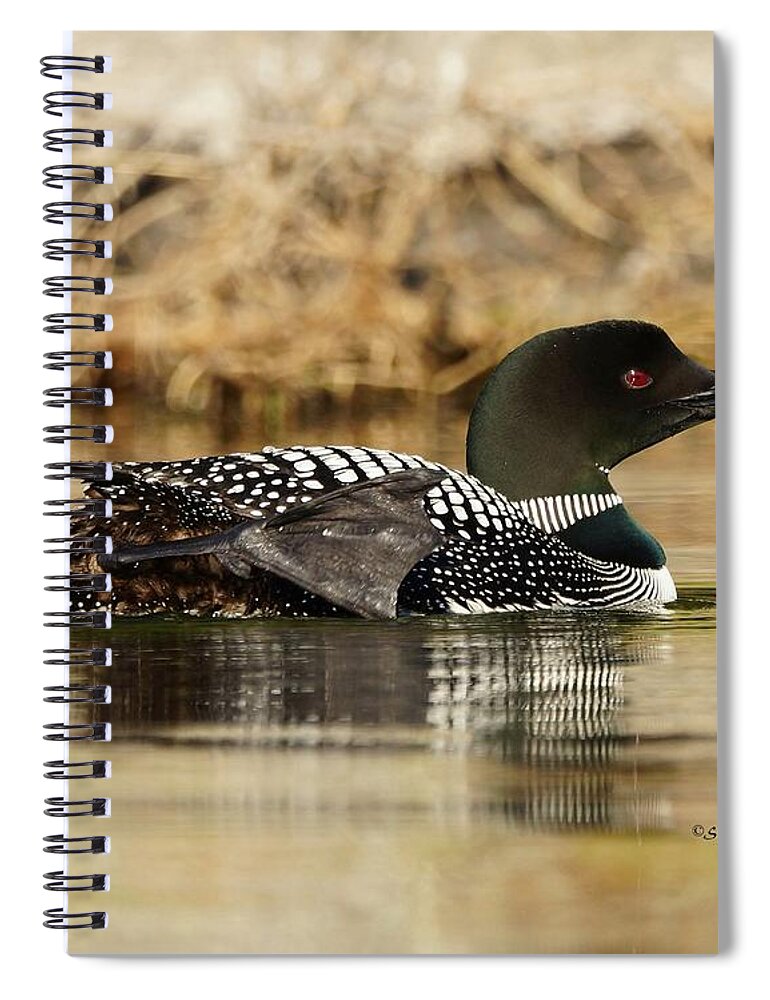 Loon Spiral Notebook featuring the photograph Loon 10 by Steven Clipperton