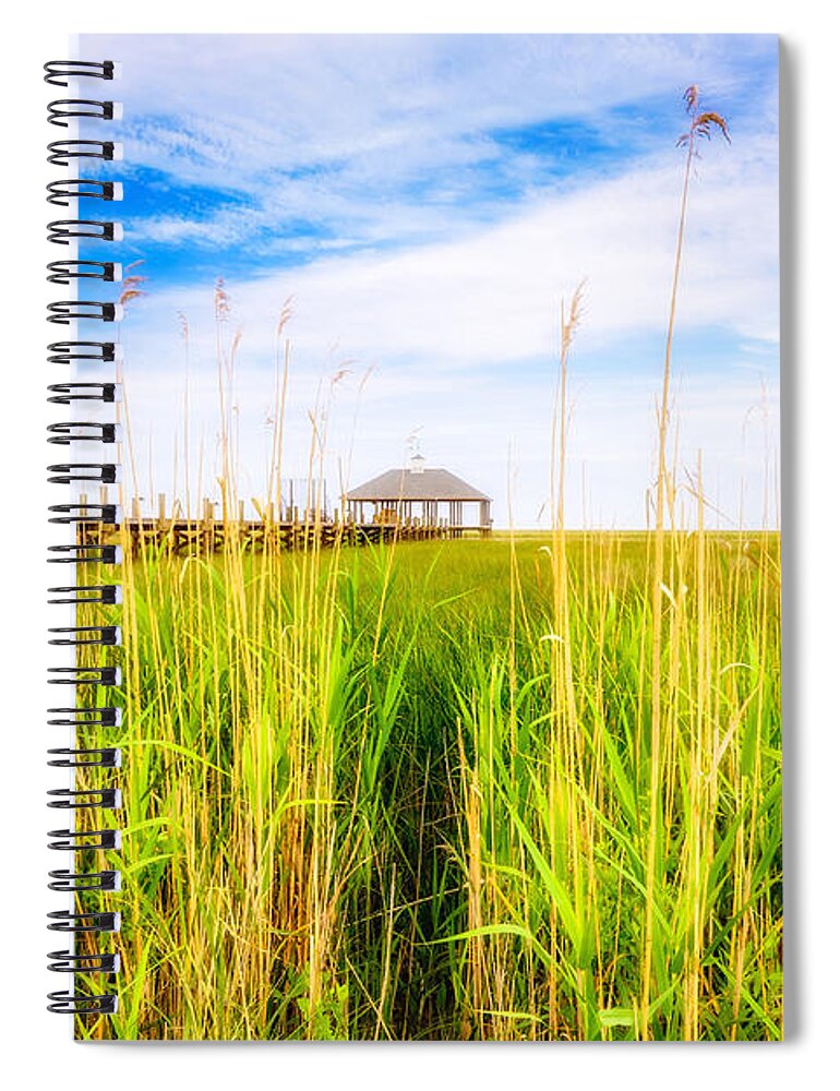 Gulf Of Mexico Spiral Notebook featuring the photograph Lost in the Weeds by Raul Rodriguez