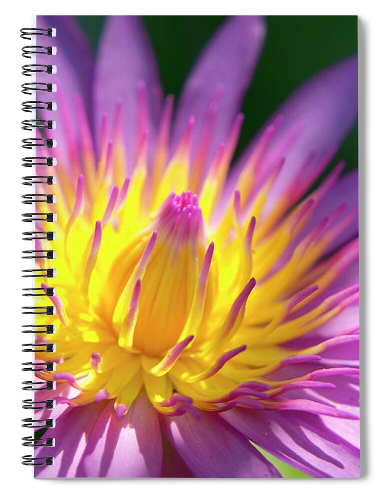 Empty Spiral Notebook featuring the photograph Lotus by Hotduckz