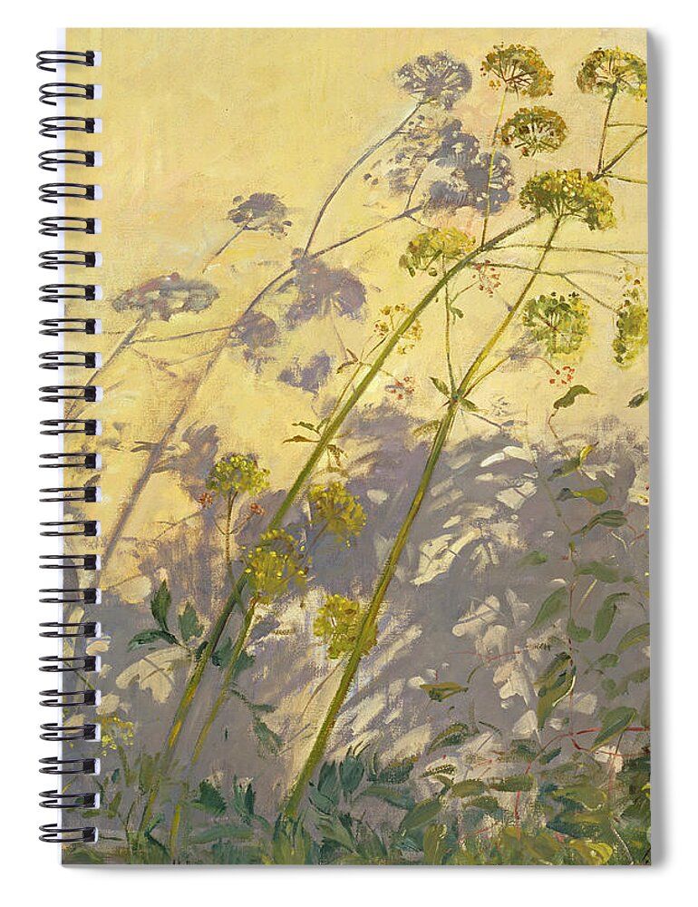 Shadow; Flower; Wild; Plant Spiral Notebook featuring the painting Lovage Clematis and Shadows by Timothy Easton