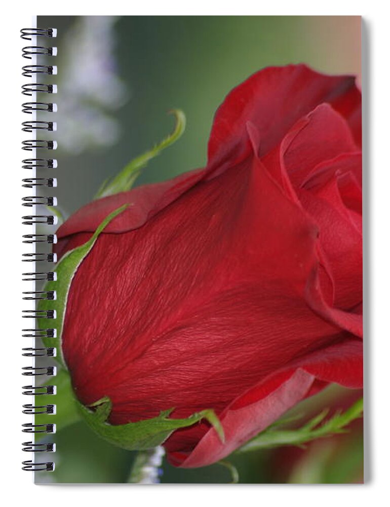Rose Spiral Notebook featuring the photograph Love Is Forever by Living Color Photography Lorraine Lynch