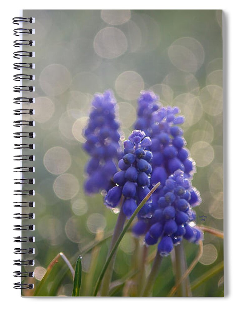 Flower Spiral Notebook featuring the mixed media Love To Boston by Trish Tritz